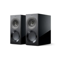 High Gloss Black / Grey