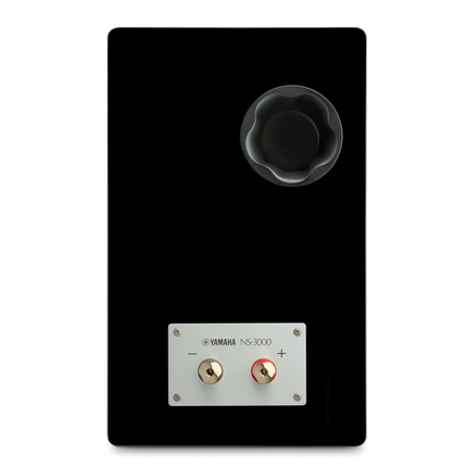 Yamaha NS-3000