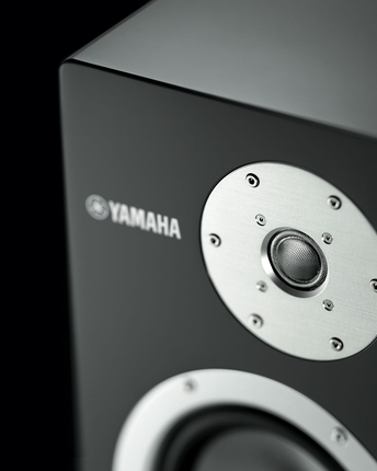 Yamaha NS-3000