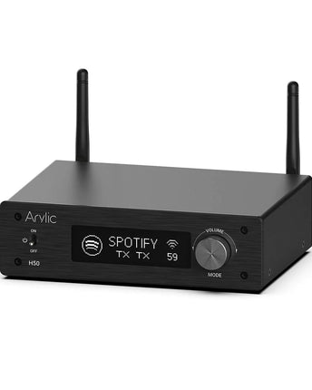 Arylic H50 2x50W