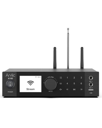 Arylic A100 2x 100 W