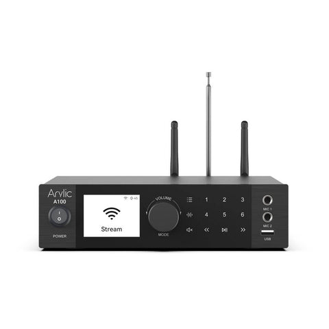 Arylic A100 2x 100 W