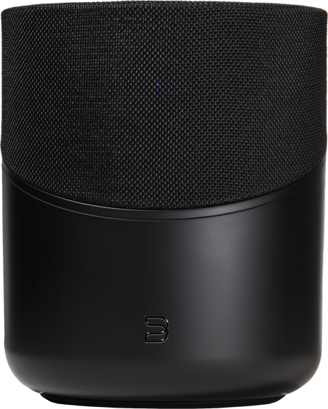 Bluesound PULSE M, vedere de produs 2