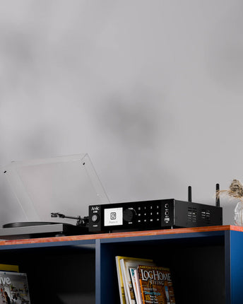 Arylic A100 2x 100 W