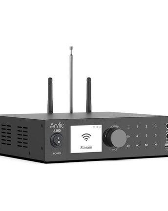 Arylic A100 2x 100 W