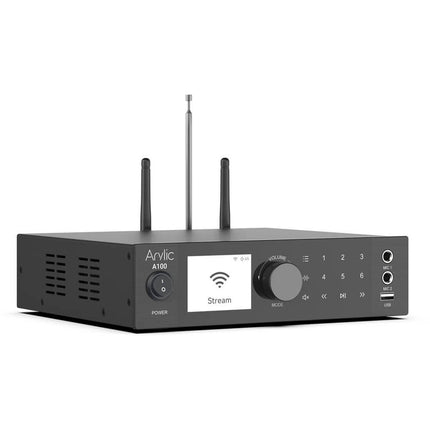 Arylic A100
