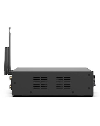 Arylic A100 2x 100 W