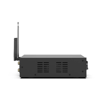 Arylic A100