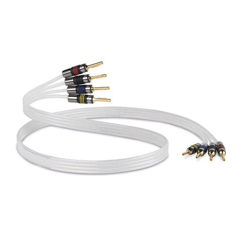 QED Reference Silver Anniversary XT Bi-Wire