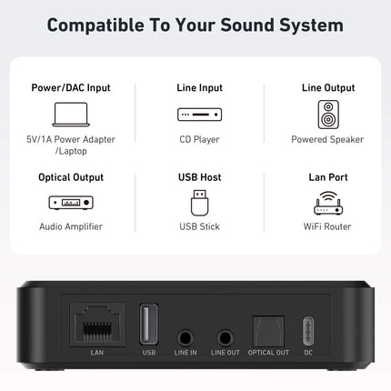 Arylic S10+