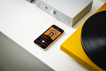 Pro-Ject Uni Box S3
