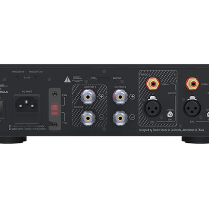 EverSolo AMP-F2