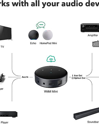 WiiM Mini