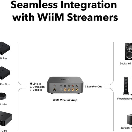 WiiM Vibelink Amp