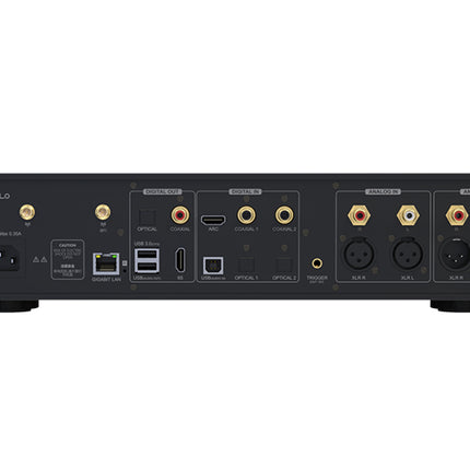 EverSolo DMP-A8