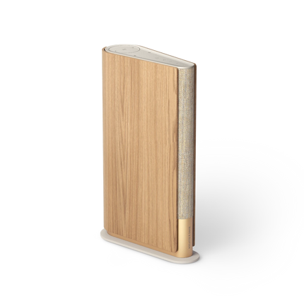 Bang & Olufsen Beosound Emerge resigilat