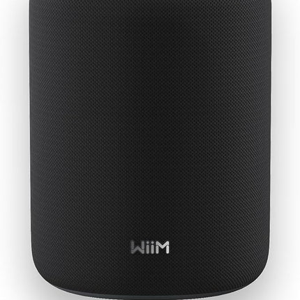 WiiM Sound Lite