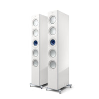 High Gloss White / Blue