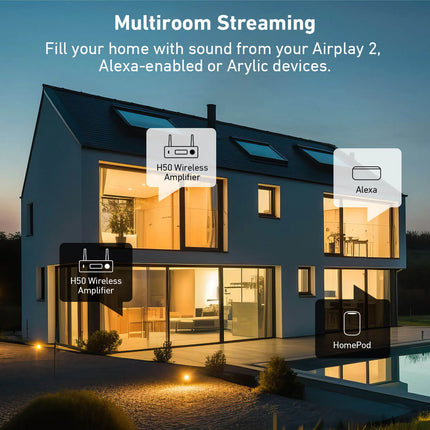 Arylic H50