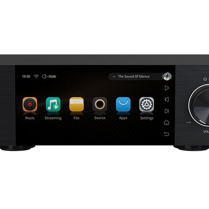 EverSolo DMP-A6