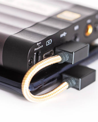 Cablu iFi Audio USB-C - USB-C OTG 90 de grade