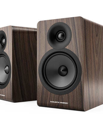 Acoustic Energy AE100.2