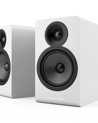 Acoustic Energy AE100.2