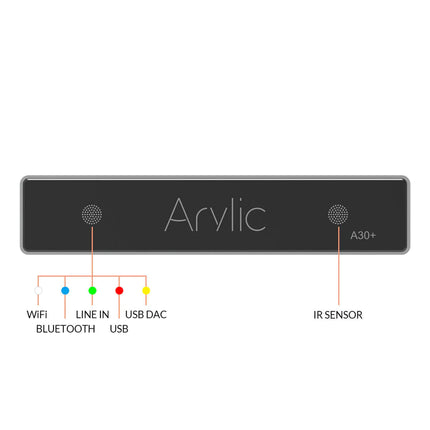 Arylic A30+