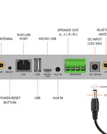 Arylic A30+ 2x30W