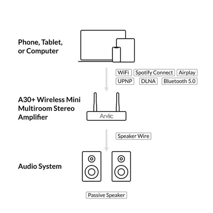 Arylic A30+