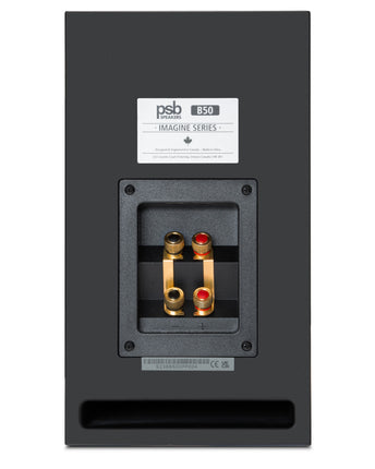 Рафтови високоговорители PSB Image B50