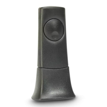Cambridge Audio BT100