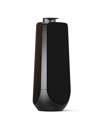 Bang & Olufsen Beolab 50