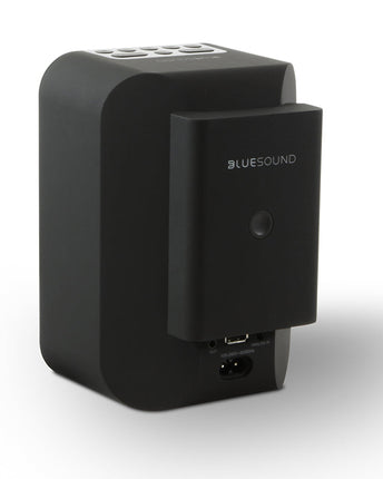 Bluesound BP100, vedere de produs 5