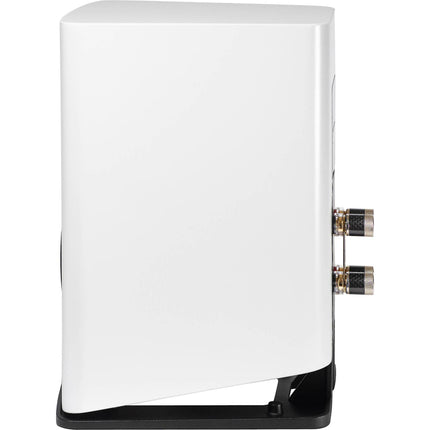 Elac Carina BS 243.4