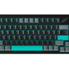 Collection image for: Tastaturi de gaming
