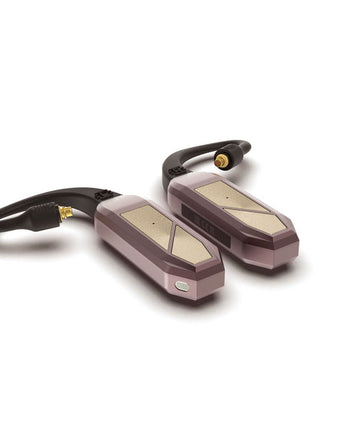 iFi Audio GO pod Max