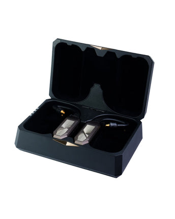 iFi Audio GO pod Max
