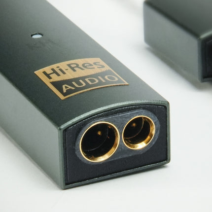 iFi Audio GO link Max