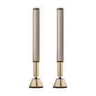 Beolab 28 în Light Oak cu Gold Tone, pe stativ