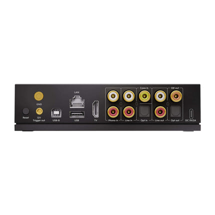 Arylic LP100
