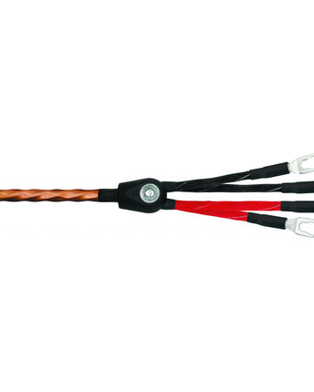Wireworld Mini Eclipse 8 Cablu de boxe