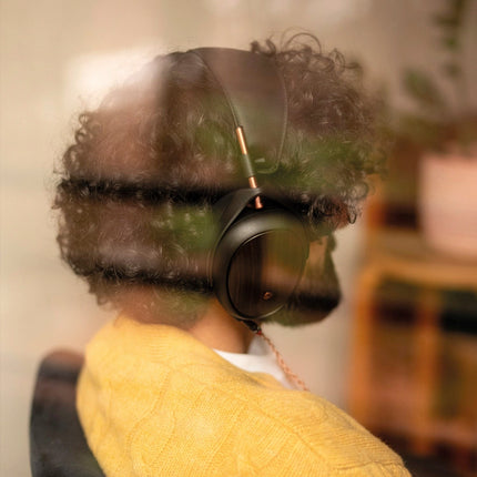 Meze Audio LIRIC (generatia a 2-a) - in utilizare