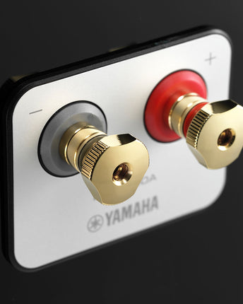 Yamaha NS-2000A