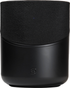 Bluesound PULSE M, vedere de produs 2