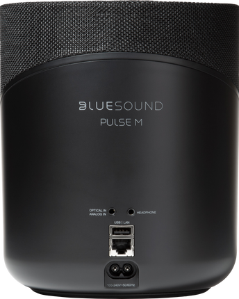 Bluesound PULSE M, vedere de produs 6