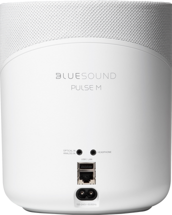 Bluesound PULSE M, vedere de produs 5
