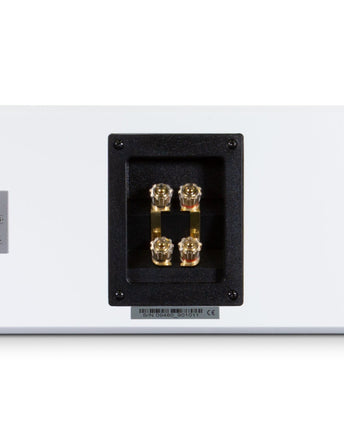 PSB PWM2 стенни високоговорители