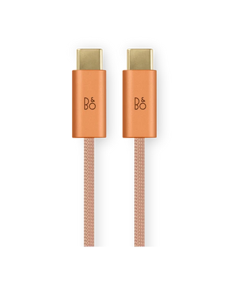 Bang & Olufsen Beoplay H100