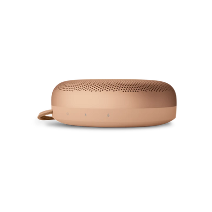 Bang & Olufsen Beosound A1 3rd Gen